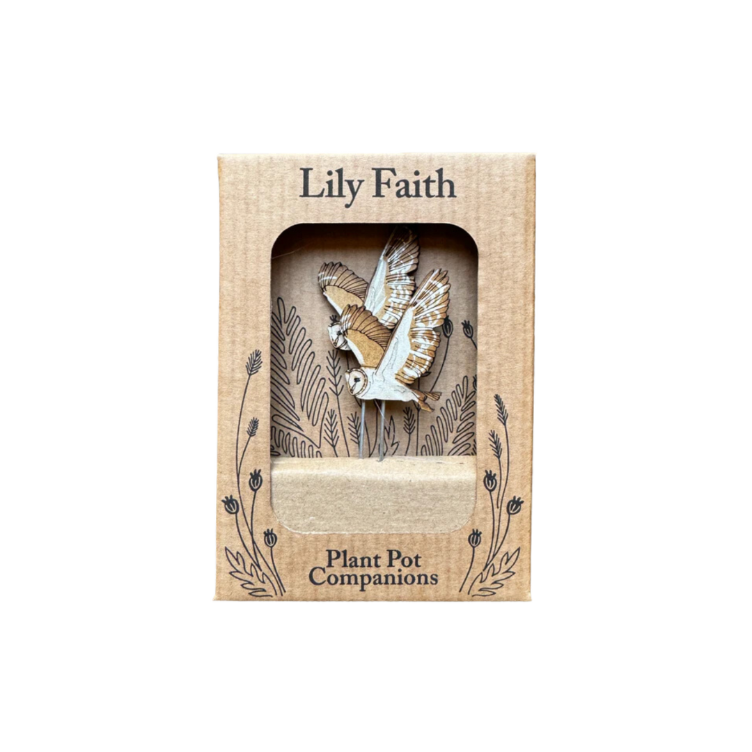 Plant Pot Companions | Barn Owls