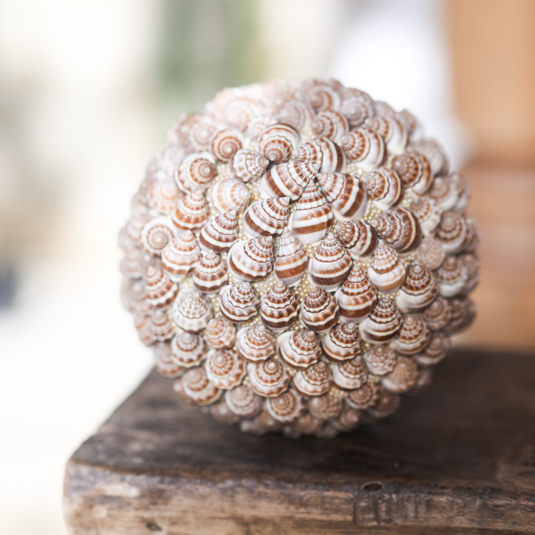 Shell Ball Decoration | Brown