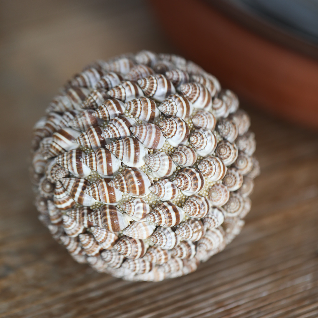 Shell Ball Decoration | Brown