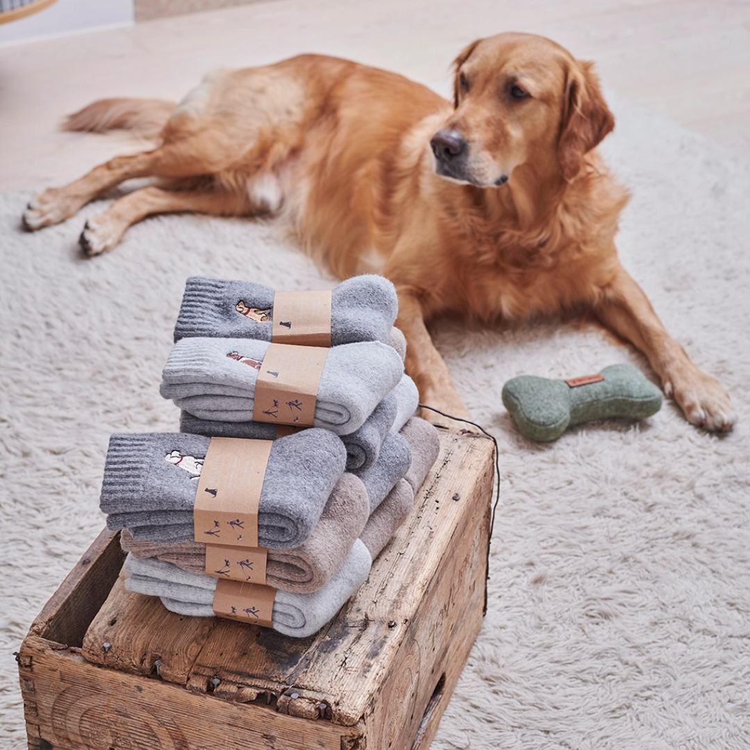 Embroidered Dog Walking Socks | 12 Breeds | One Size 4-12