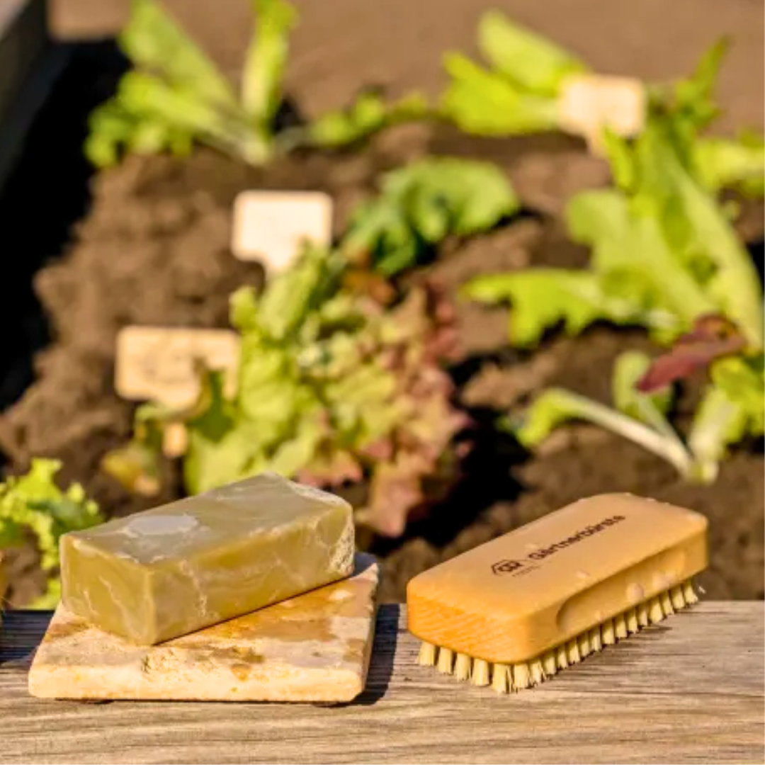 Gardener's Nail Brush