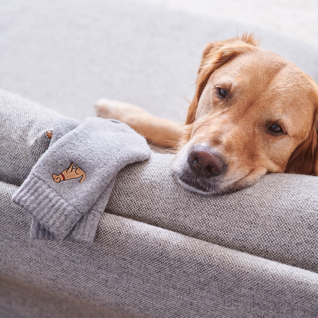 Embroidered Dog Walking Socks | 12 Breeds | One Size 4-12