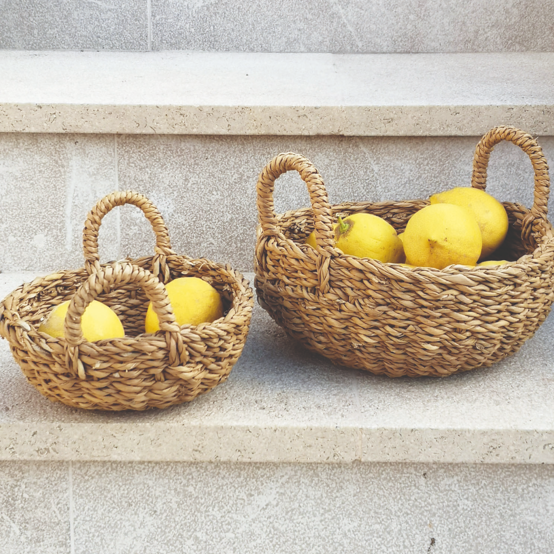 Hogla Bowl Basket Two Handles | Small & Med