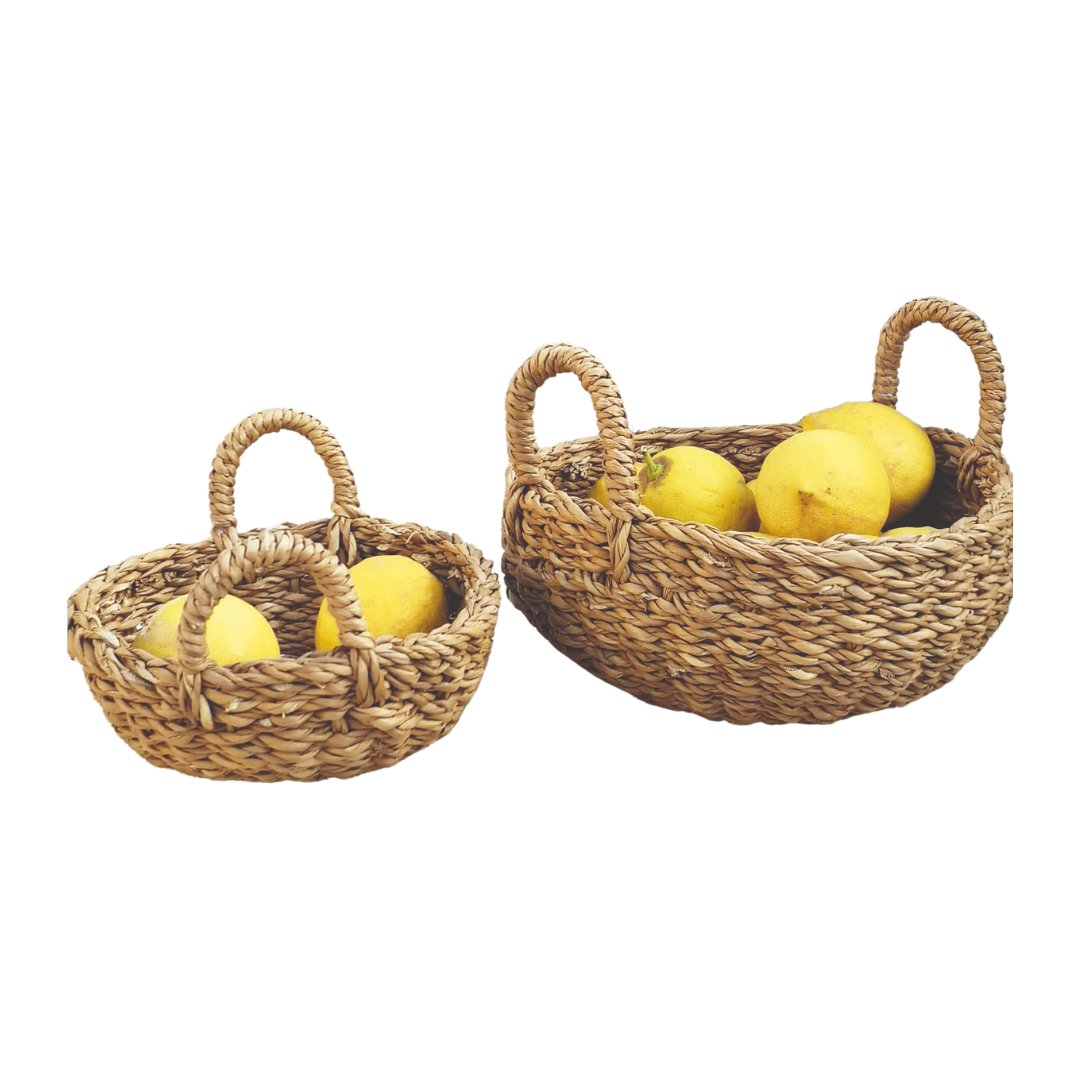 Hogla Bowl Basket Two Handles | Small & Med