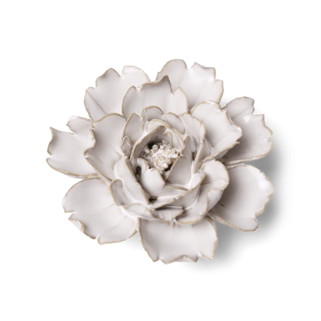 Ceramic Rose | Ivory