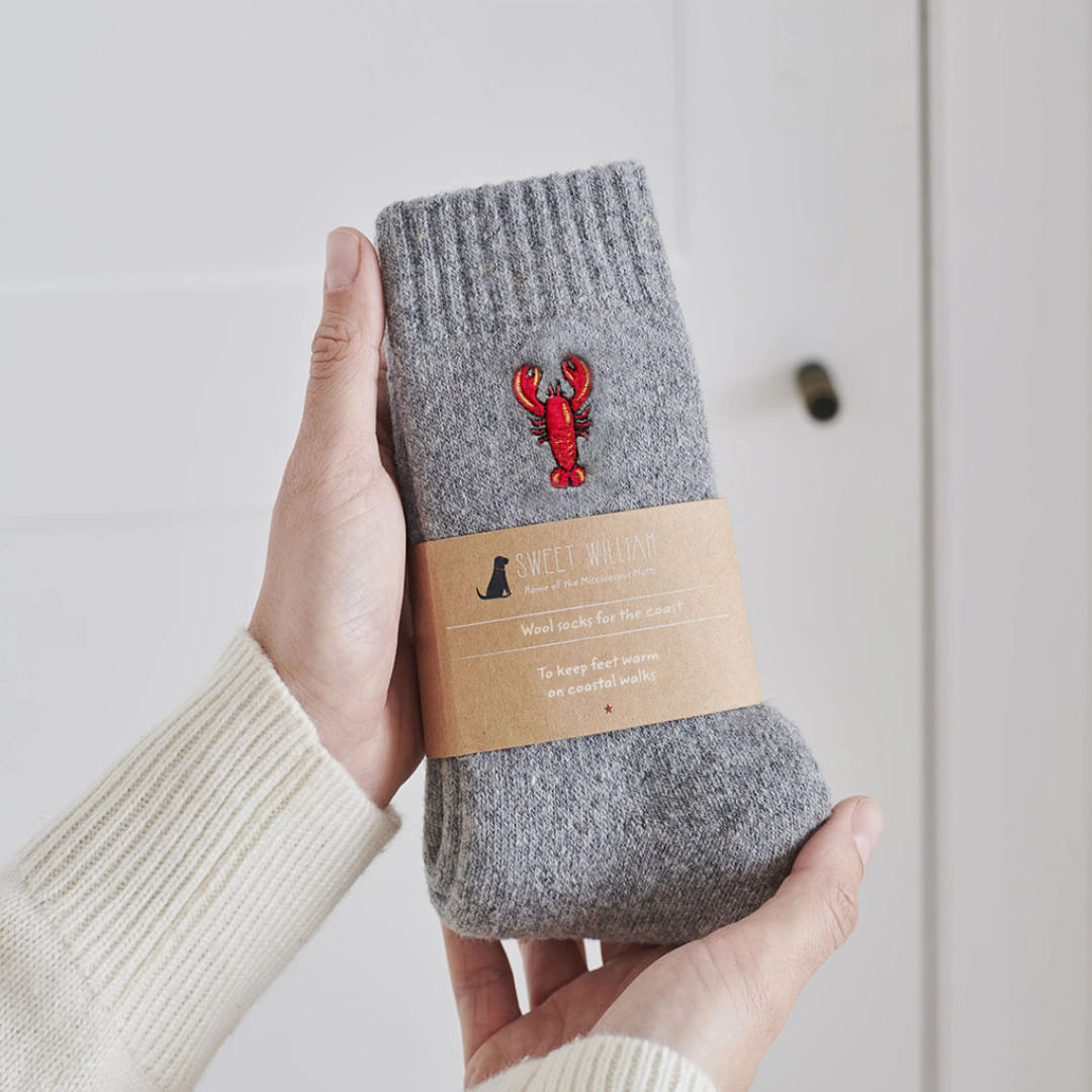 Embroidered Coastal Walking Socks | 4 Designs | One Size 4-12