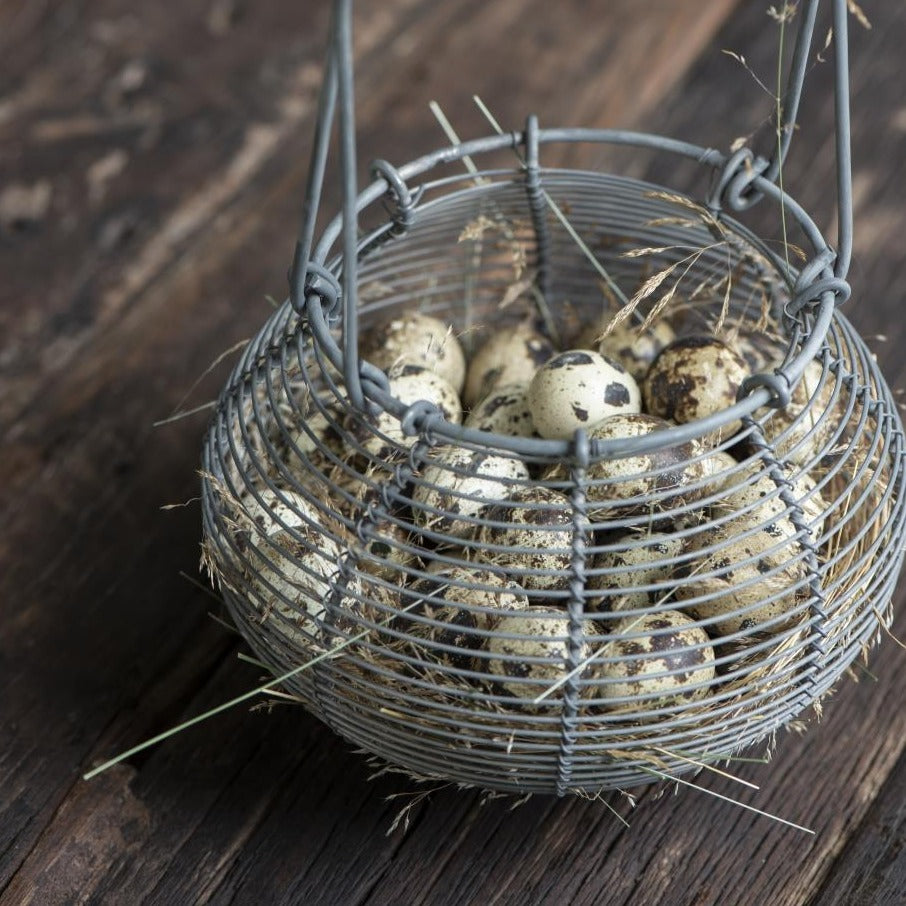 Wire Onion Basket